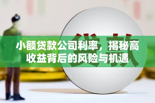 安阳小额贷款公司利率，揭秘高收益背后的风险与机遇