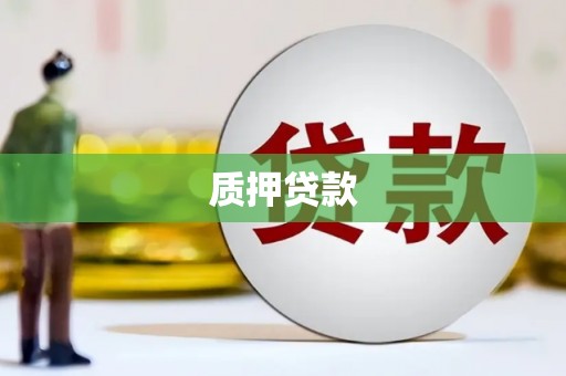 安阳质押贷款