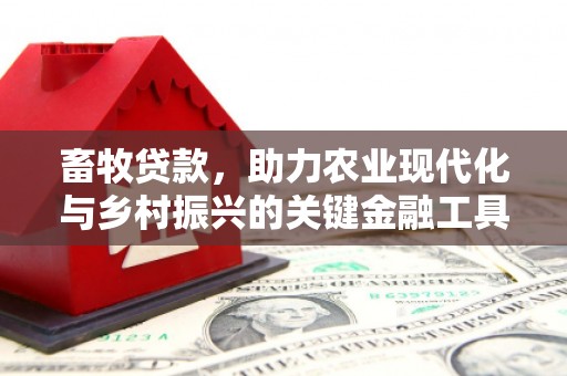 安阳畜牧贷款，助力农业现代化与乡村振兴的关键金融工具