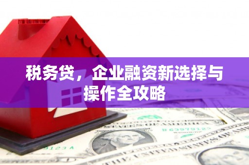 安阳税务贷，企业融资新选择与操作全攻略