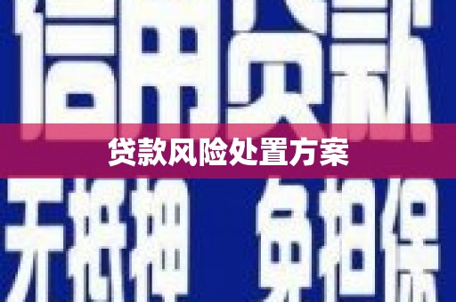 安阳贷款风险处置方案
