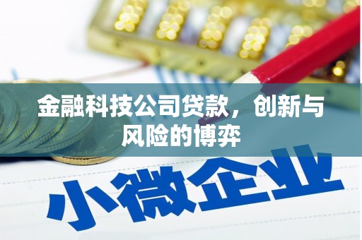 安阳金融科技公司贷款，创新与风险的博弈