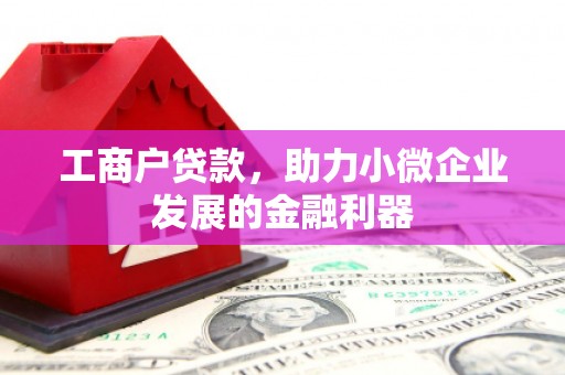 安阳工商户贷款，助力小微企业发展的金融利器