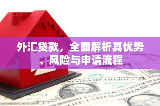 安阳外汇贷款，全面解析其优势、风险与申请流程