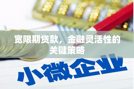 安阳宽限期贷款，金融灵活性的关键策略