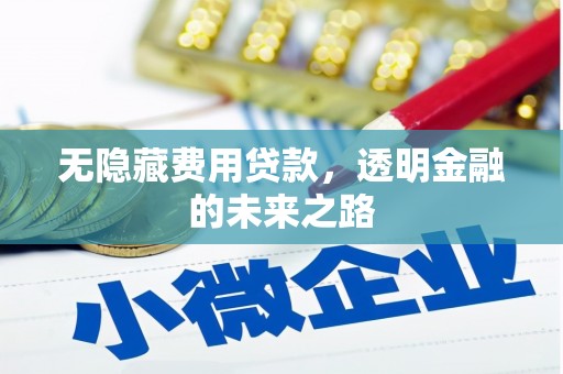 安阳无隐藏费用贷款，透明金融的未来之路
