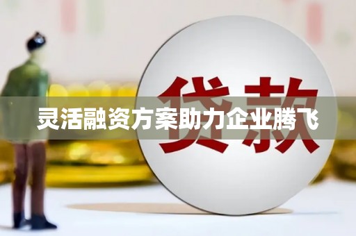 安阳灵活融资方案助力企业腾飞
