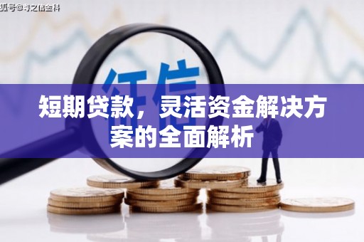 安阳短期贷款，灵活资金解决方案的全面解析