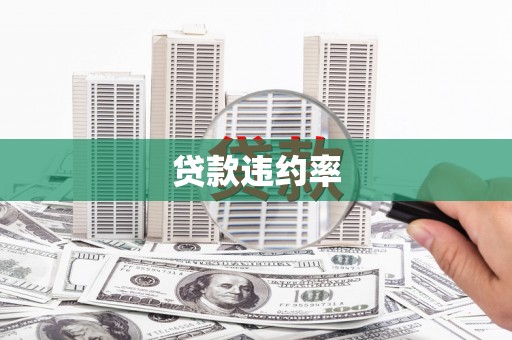 安阳贷款违约率