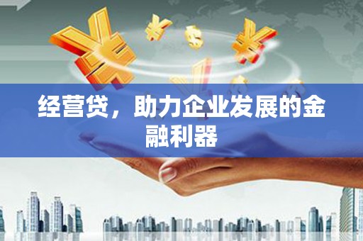 安阳经营贷，助力企业发展的金融利器