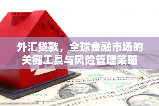 安阳外汇贷款，全球金融市场的关键工具与风险管理策略
