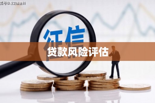 安阳贷款风险评估