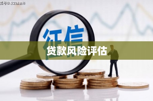 安阳贷款风险评估