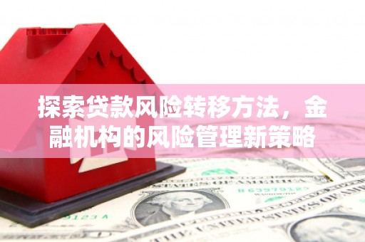安阳探索贷款风险转移方法，金融机构的风险管理新策略