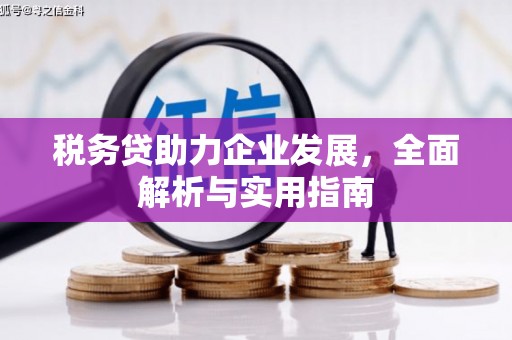 安阳税务贷助力企业发展，全面解析与实用指南