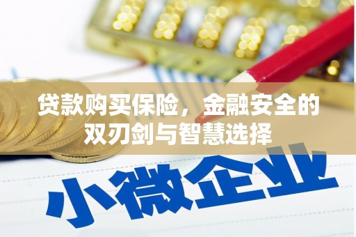 安阳贷款购买保险，金融安全的双刃剑与智慧选择