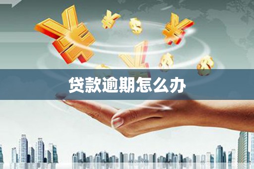安阳贷款逾期怎么办