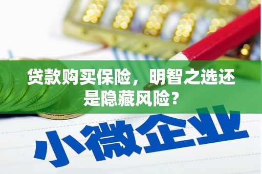 安阳贷款购买保险，明智之选还是隐藏风险？