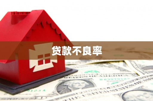 安阳贷款不良率
