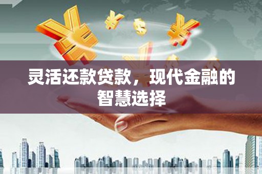 安阳灵活还款贷款，现代金融的智慧选择