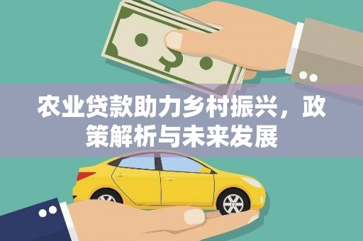 安阳农业贷款助力乡村振兴，政策解析与未来发展