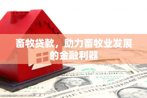 安阳畜牧贷款，助力畜牧业发展的金融利器