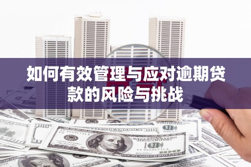 安阳如何有效管理与应对逾期贷款的风险与挑战