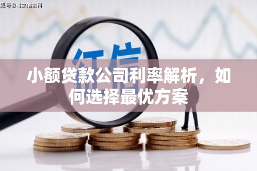 安阳小额贷款公司利率解析，如何选择最优方案