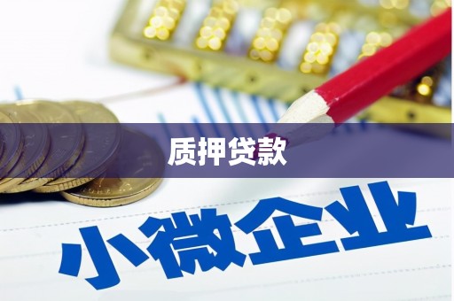 安阳质押贷款
