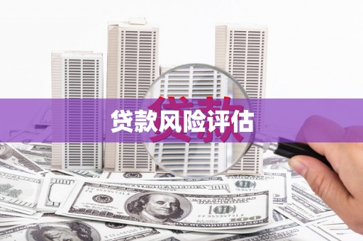 安阳贷款风险评估