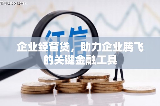安阳企业经营贷，助力企业腾飞的关键金融工具