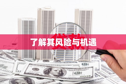 安阳了解其风险与机遇
