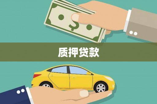 安阳质押贷款