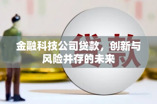 安阳金融科技公司贷款，创新与风险并存的未来