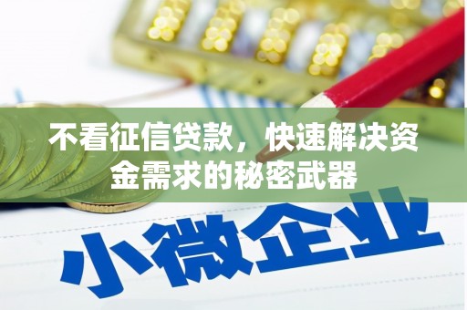 安阳不看征信贷款，快速解决资金需求的秘密武器