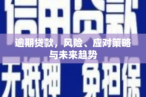安阳逾期贷款，风险、应对策略与未来趋势