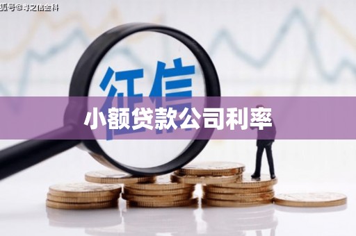 安阳小额贷款公司利率