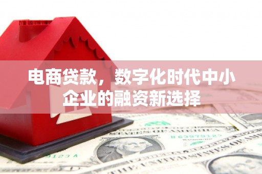 安阳电商贷款，数字化时代中小企业的融资新选择