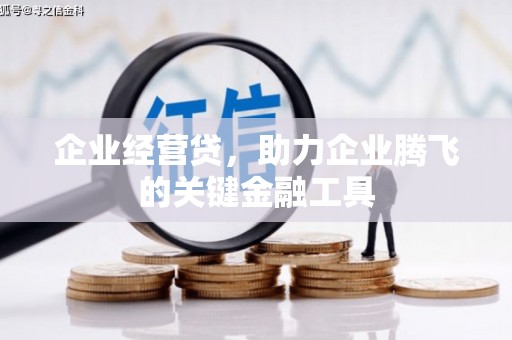 安阳企业经营贷，助力企业腾飞的关键金融工具