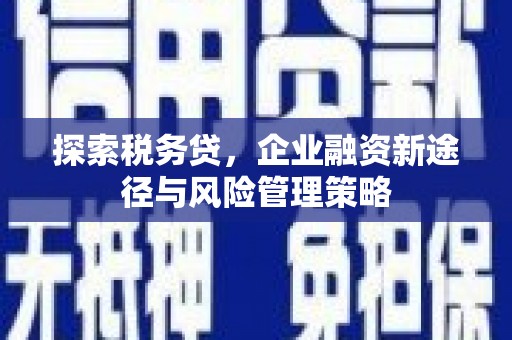 安阳探索税务贷，企业融资新途径与风险管理策略