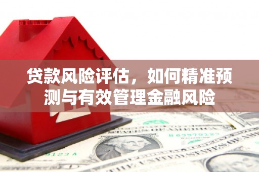 安阳贷款风险评估，如何精准预测与有效管理金融风险