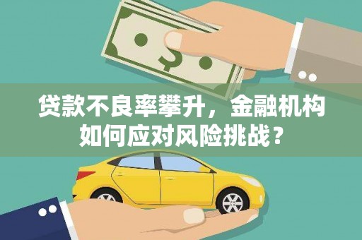 安阳贷款不良率攀升，金融机构如何应对风险挑战？