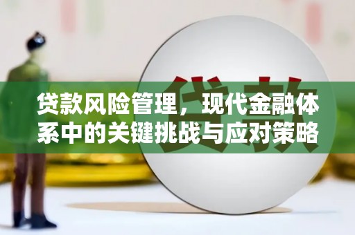 安阳贷款风险管理，现代金融体系中的关键挑战与应对策略