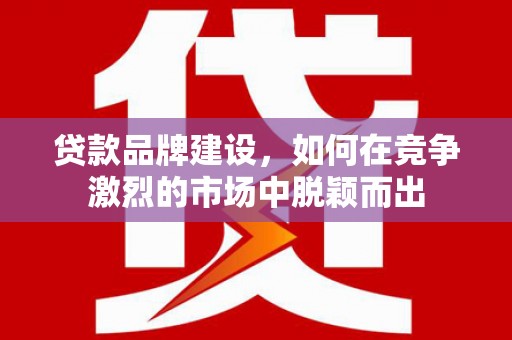 安阳贷款品牌建设，如何在竞争激烈的市场中脱颖而出