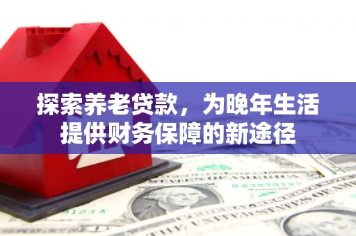 安阳探索养老贷款，为晚年生活提供财务保障的新途径