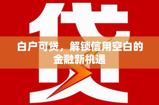 安阳白户可贷，解锁信用空白的金融新机遇