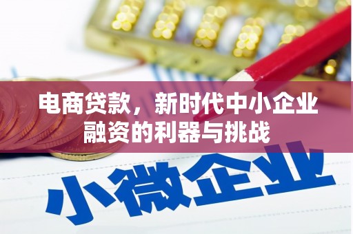 安阳电商贷款，新时代中小企业融资的利器与挑战