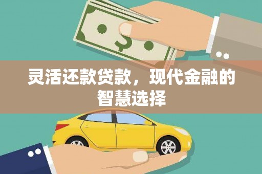 安阳灵活还款贷款，现代金融的智慧选择