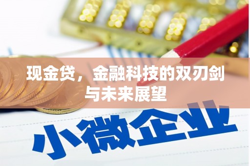 安阳现金贷，金融科技的双刃剑与未来展望