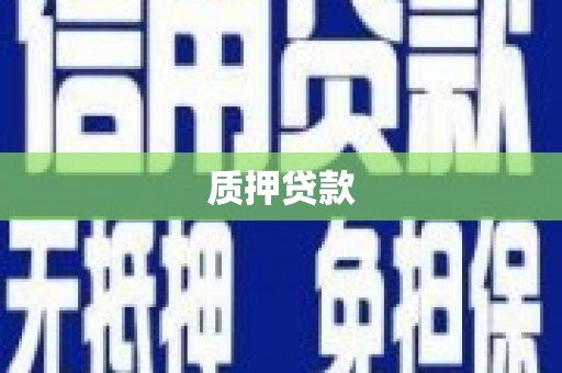 安阳质押贷款